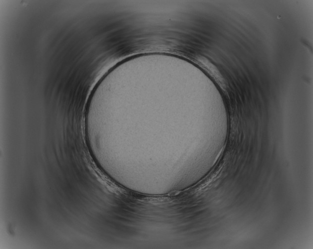 X0000097481340200803201501