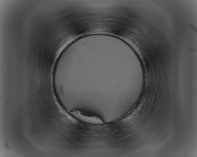 X0000097481341200803201501