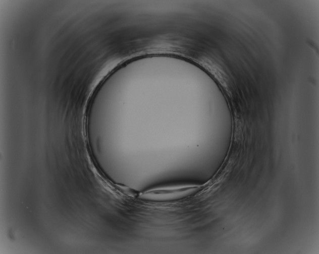 X0000097481342200803201501