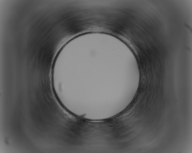 X0000097481343200803201501