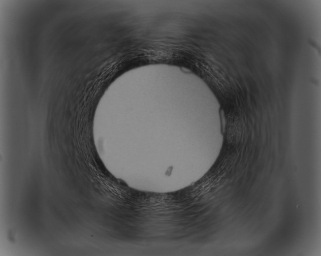 X0000097481345200803201501