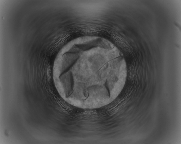 X0000097481346200803201501