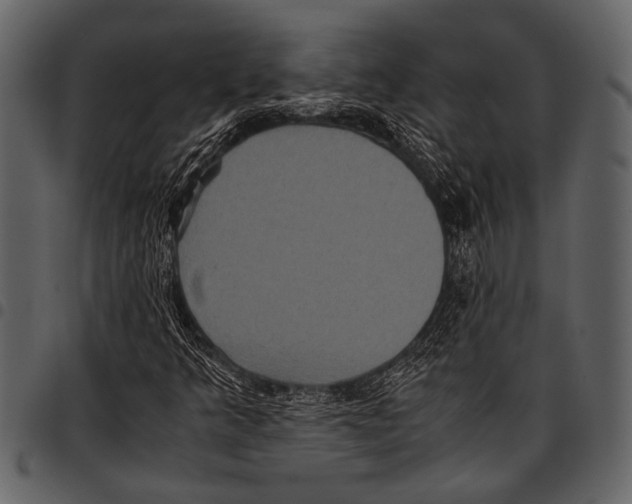 X0000097481349200803201501