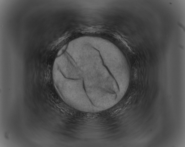 X0000097481350200803201501