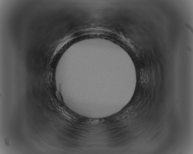 X0000097481352200803201501