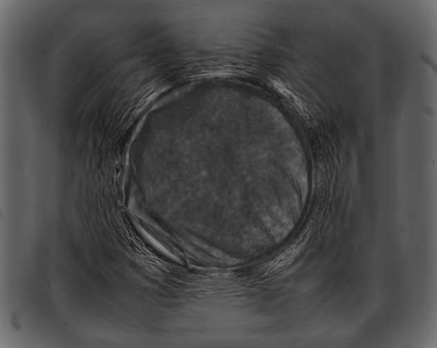 X0000097481353200803201501