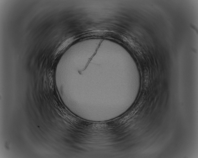 X0000097481354200803201501