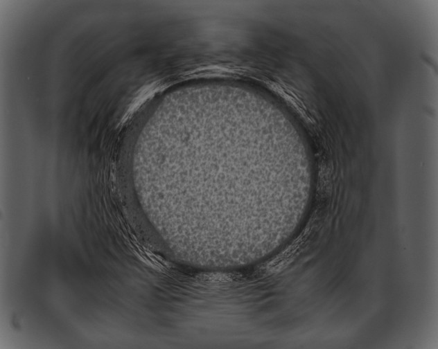 X0000097481355200803201501