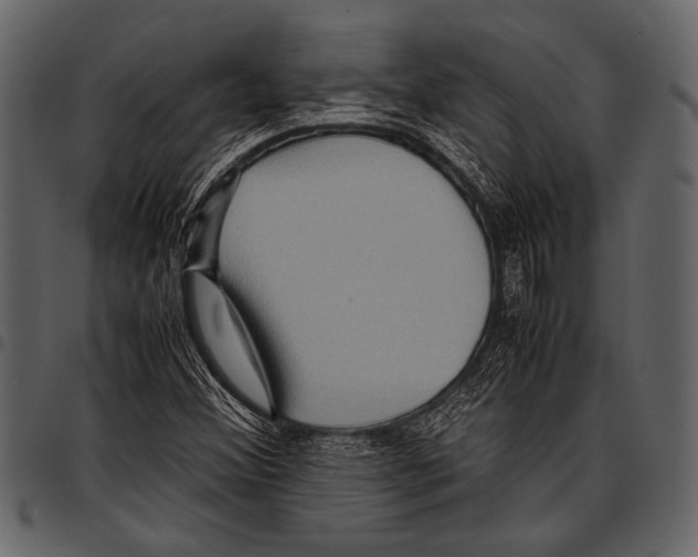 X0000097481356200803201500