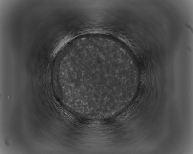 X0000097481359200803201500