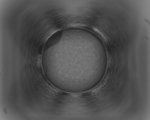 X0000097481361200803201500