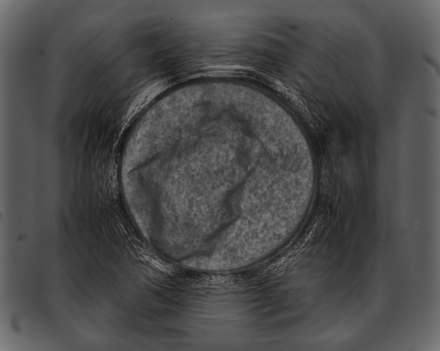 X0000097481362200803201500