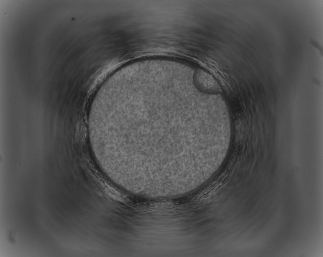 X0000097481363200803201500