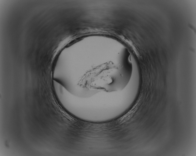 X0000097481365200803201500