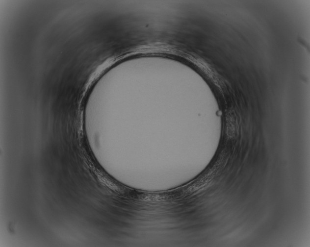 X0000097481366200803201500