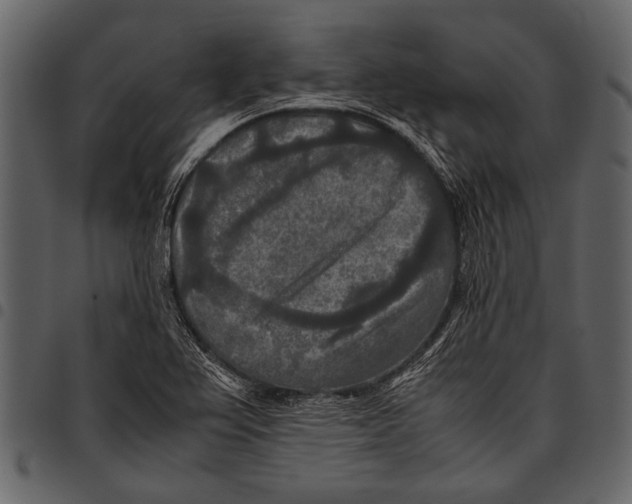 X0000097481367200803201500