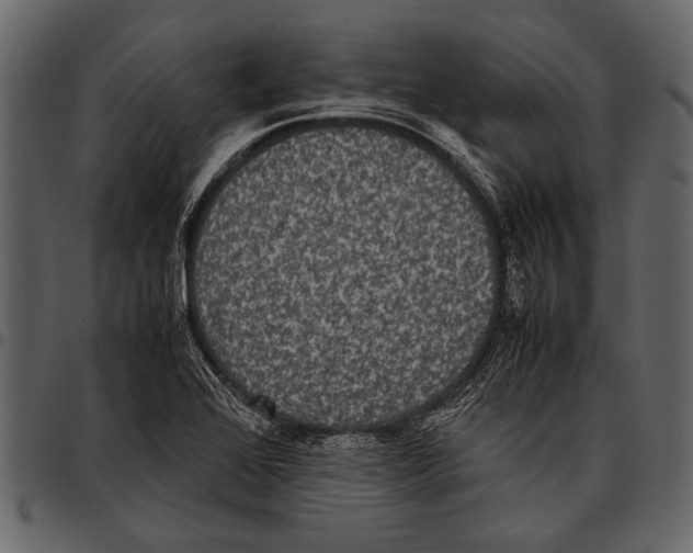 X0000097481368200803201500