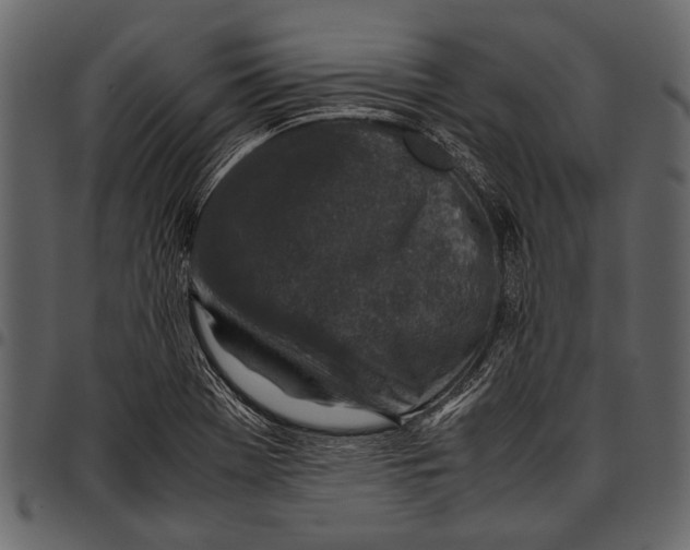 X0000097481369200803201500