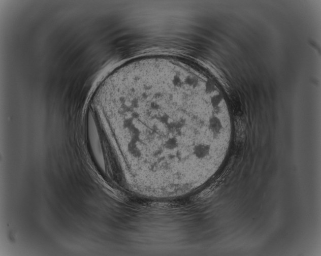 X0000097481371200803201500