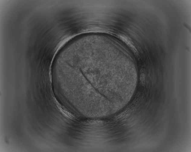 X0000097481372200803201500