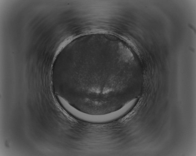 X0000097481373200803201500