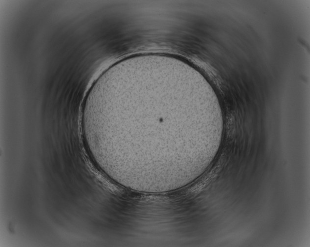 X0000097481374200803201500