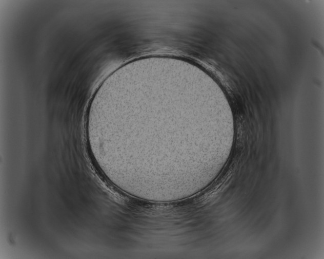 X0000097481375200803201500