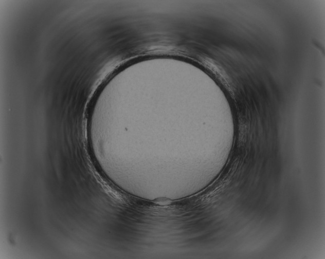 X0000097481376200803201500