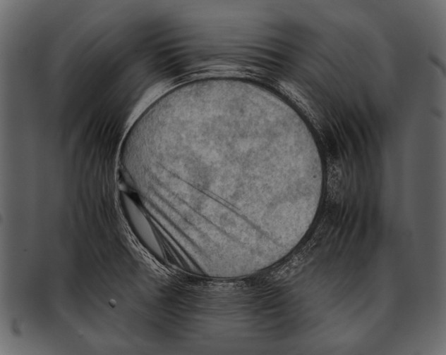 X0000097481378200803201500