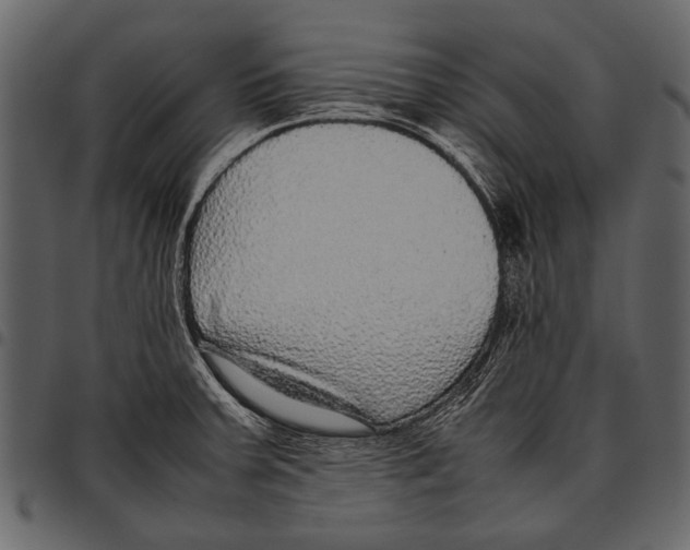 X0000097481379200803201500