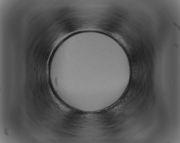 X0000097481380200803201500