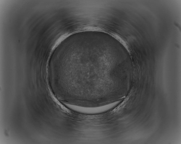 X0000097481381200803201500