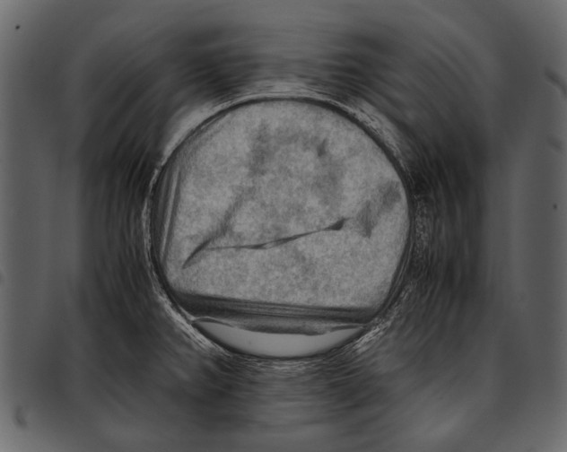 X0000097481382200803201500