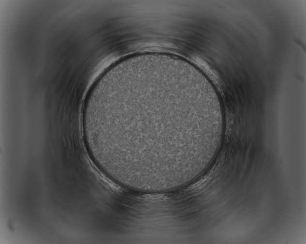 X0000097481384200803201500