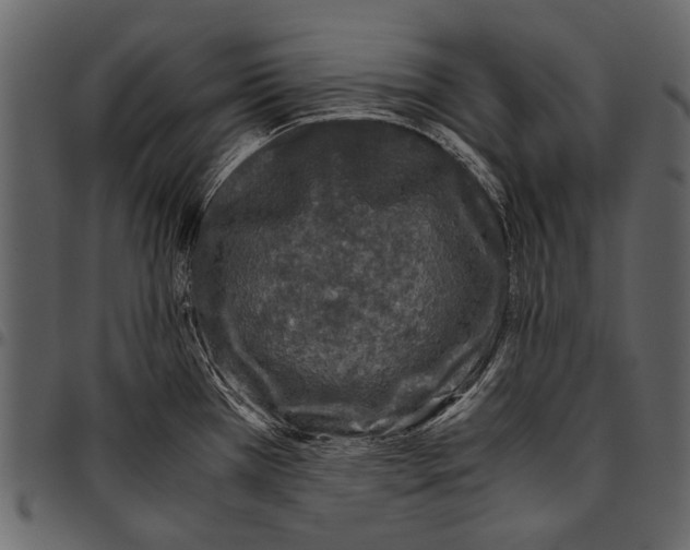 X0000097481385200803201500