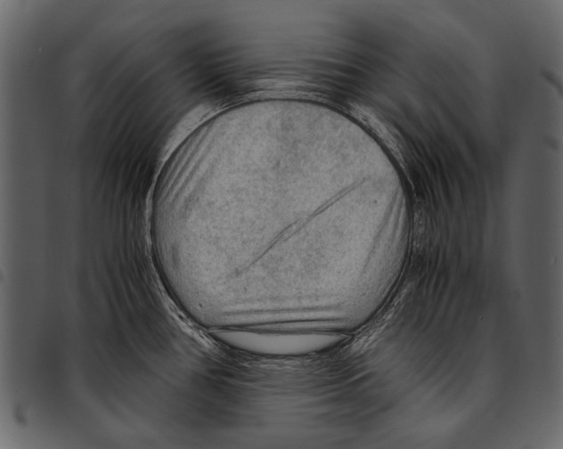 X0000097481386200803201500