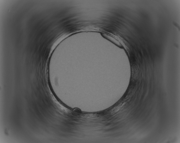 X0000097481387200803201500