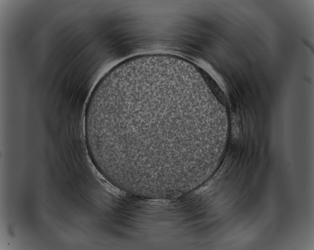 X0000097481388200803201500