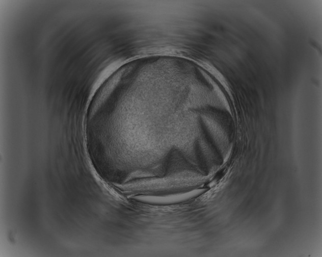 X0000097481389200803201500