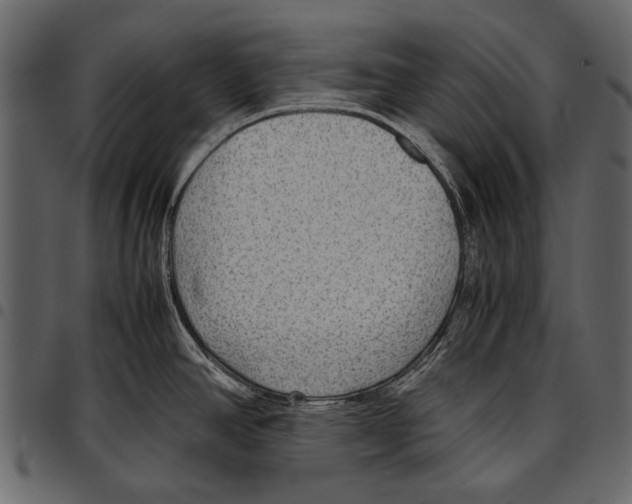 X0000097481390200803201500