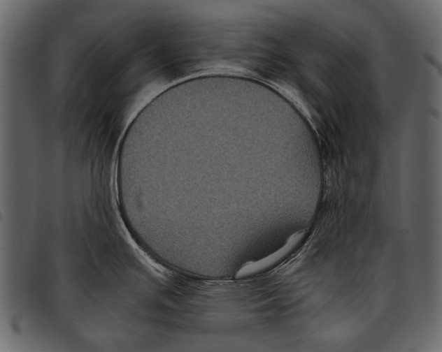 X0000097481391200803201500