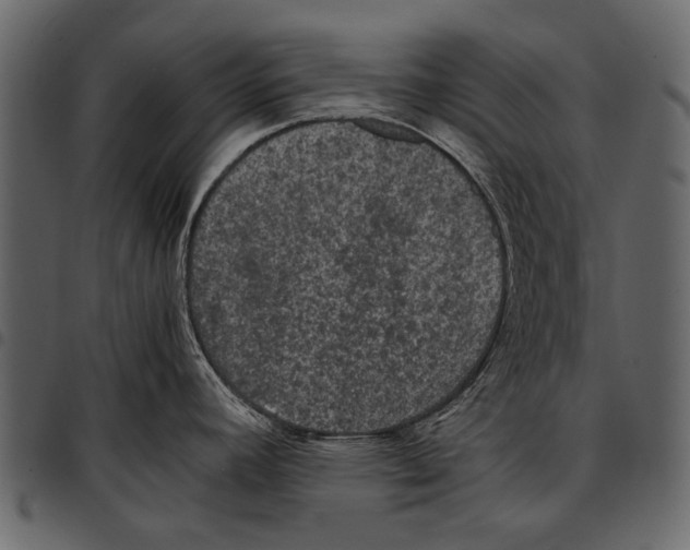 X0000097481392200803201500