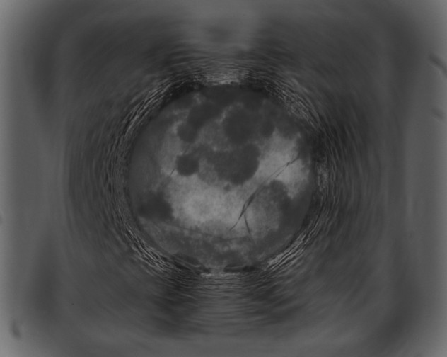 X0000097481393200803201459