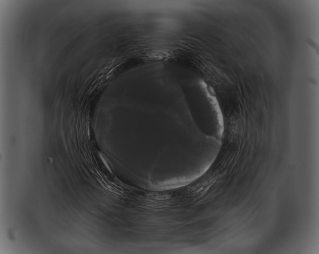 X0000097481394200803201459