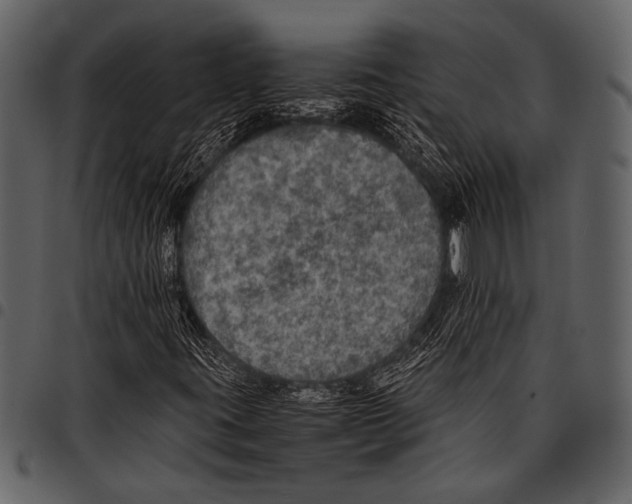 X0000097481395200803201459