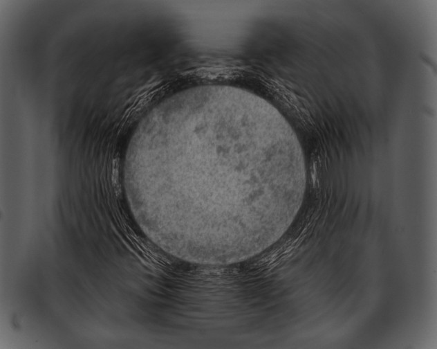 X0000097481396200803201459