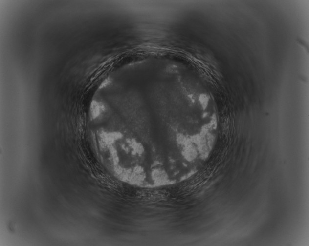 X0000097481397200803201459