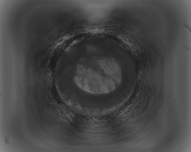 X0000097481398200803201459