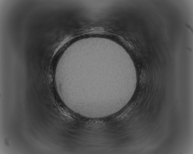 X0000097481400200803201459