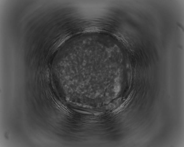 X0000097481401200803201459